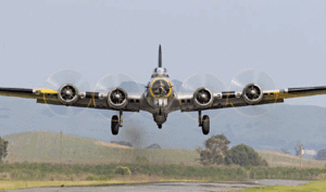 WARBIRDS: American heavy bomber survivors